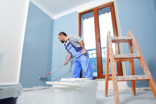 Mold Removal for HVAC Installations in Burley, WA