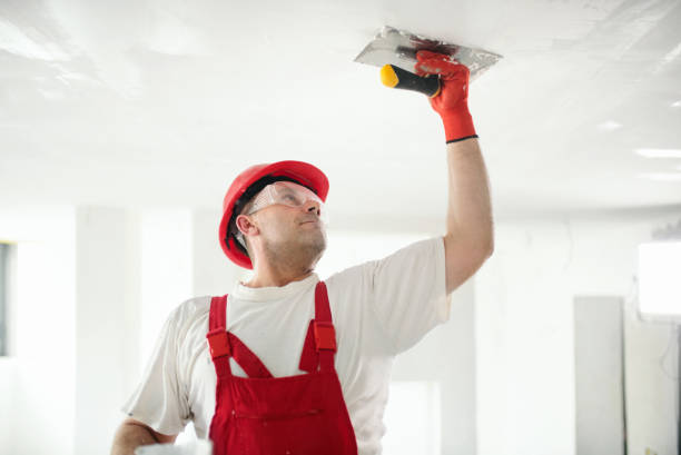 Best Environmental Consulting for Mold Prevention  in Burley, WA