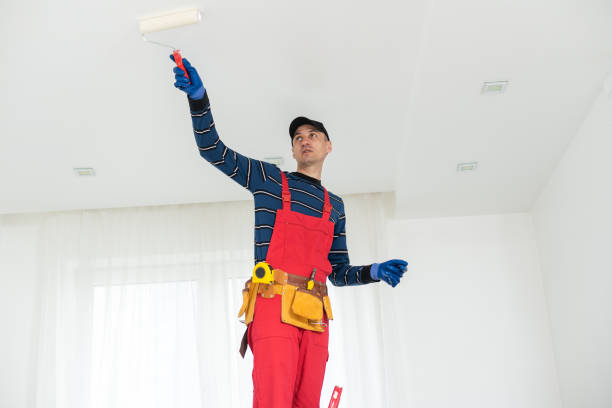 Best Water Damage & Mold Remediation  in Burley, WA