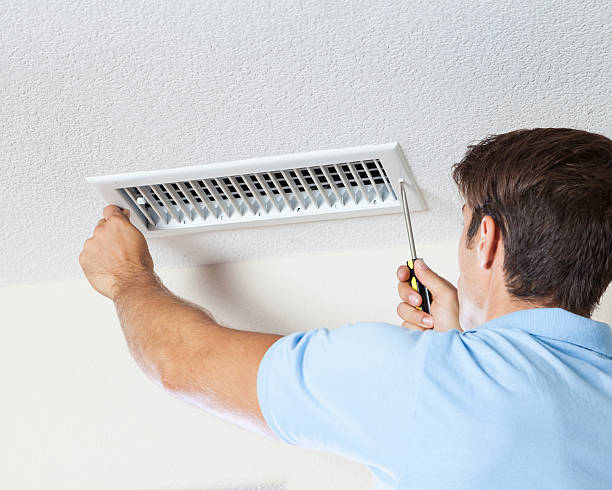 Best Attic Mold Removal  in Burley, WA