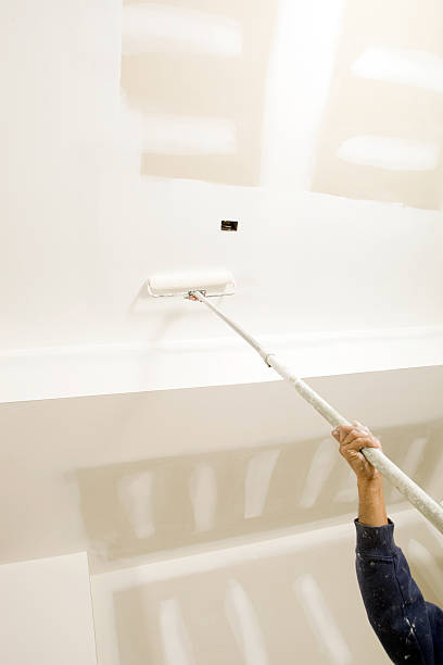 Best Commercial Mold Inspection  in Burley, WA