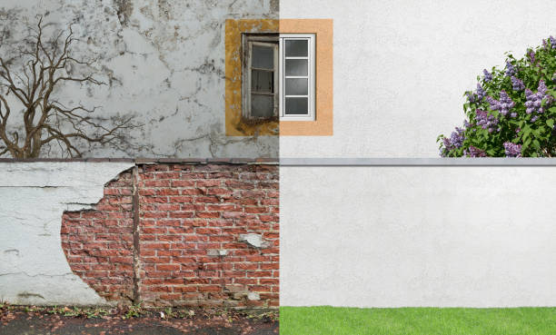 Best Forensic Mold Investigation  in Burley, WA