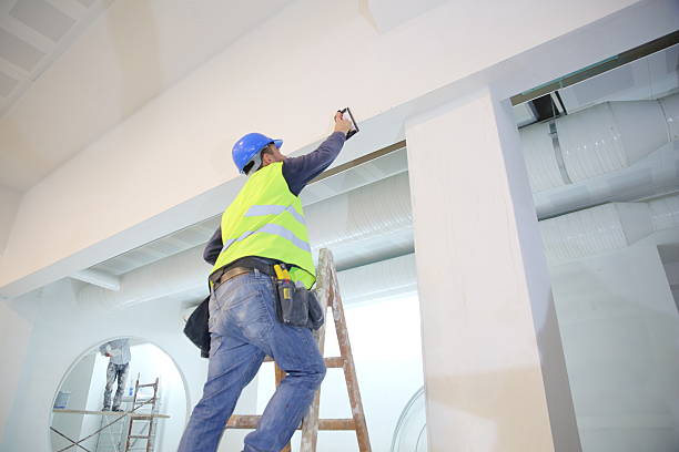 Mold Odor Removal Services in Burley, WA