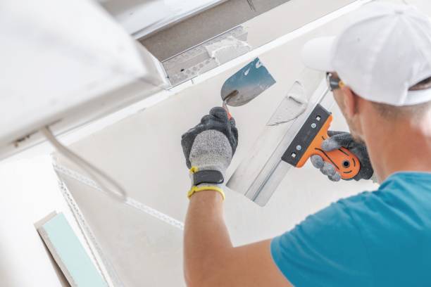 Best Biohazard Mold Removal  in Burley, WA